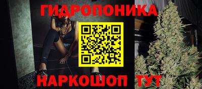 сатива Шебекино