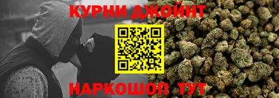 сатива Шебекино