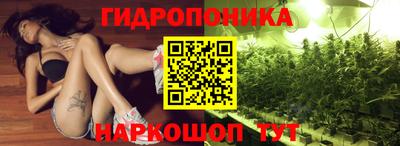 сатива Шебекино