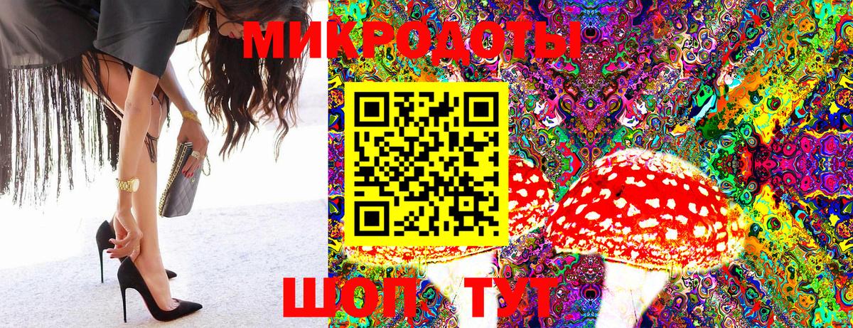 Галлюциногенные грибы Psilocybine cubensis  Ахтубинск 